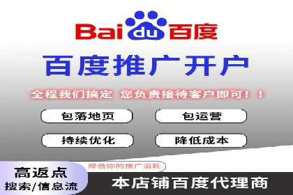 SEM托管服务案例：优化策略与效果展示